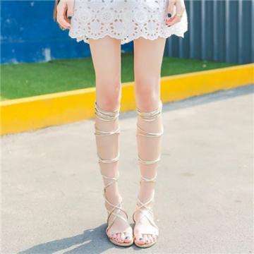 押注篮球的appapp下载